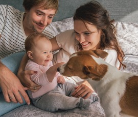 Bebeklerde Hayvan Sevgisi Nasıl Gelişir?